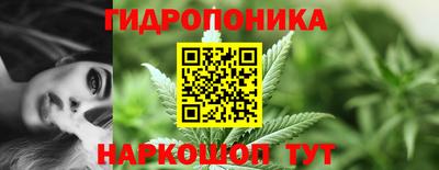 эйфоретик Краснокаменск