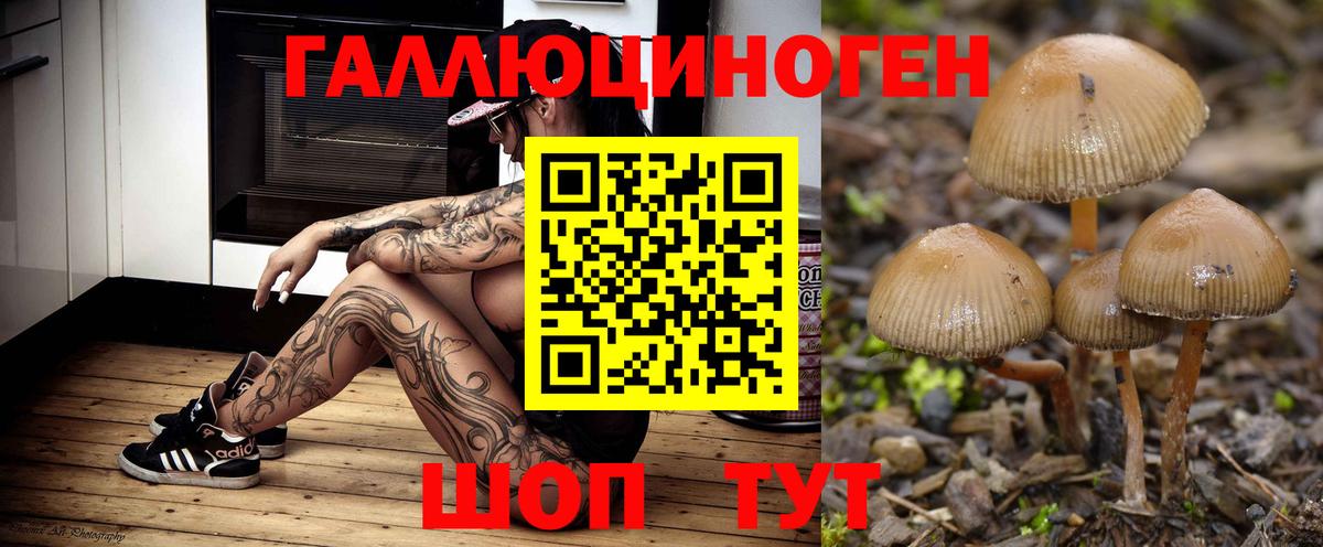 Псилоцибиновые грибы прущие грибы Кировск