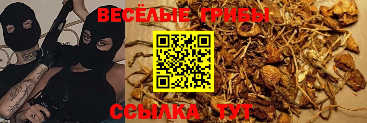  Кокаин Кировск